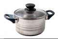 Stainless Steel Casserole Pot with Glass Lid and Cool-Touch Handles